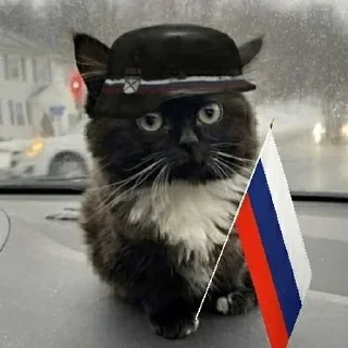 🇷🇺 emoji Больше стиков тут: @stickery_stickers Telegram sticker 8 of 76
