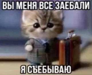 🌟 emoji котяры хуяры by Telegram sticker 5 of 40