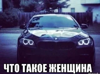 🌟 emoji котяры хуяры by Telegram sticker 14 of 40