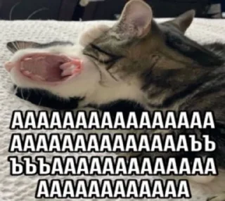 🌟 emoji котяры хуяры by Telegram sticker 22 of 40