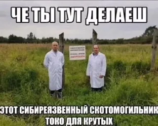 🌟 emoji котяры хуяры by Telegram sticker 13 of 40