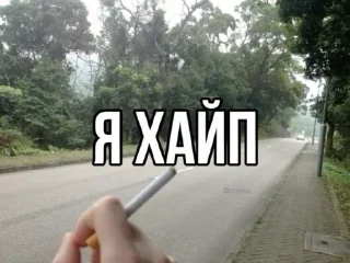 🌟 emoji котяры хуяры by Telegram sticker 19 of 40
