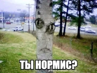 🌟 emoji котяры хуяры by Telegram sticker 20 of 40