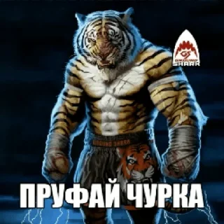 🙊 emoji Steyli насосала🦶🎀@steylik Telegram sticker 20 of 120