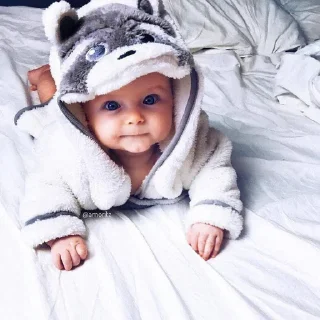 🐻 emoji малыши вагонеткина Telegram sticker 23 of 66