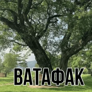 Sticker from Чооо
