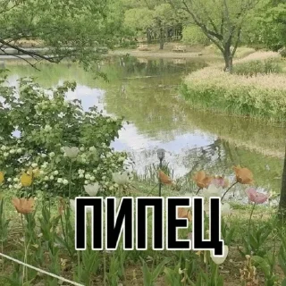 Sticker from Чооо