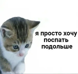 🛌 emoji ебанутый пак от юлы Telegram sticker 13 of 28