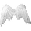 🪽 emoji x333 Telegram sticker 12 of 200