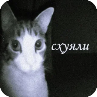 Sticker from Мемасики