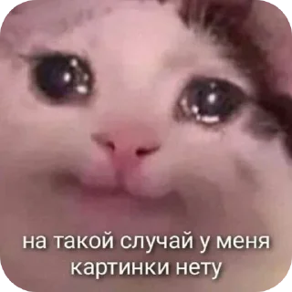 Sticker from Мемасики