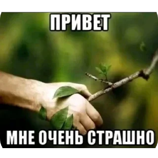 Sticker from БОЛЬШЕ ⇨ @CLOOBHUB МЕМЫ ИГРА В КАЛЬМАРА СТИКЕРЫ