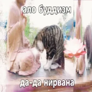 Sticker from (Ало дада мне похуй )