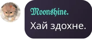 ✍ emoji 🤵‍♂𝒎𝒂𝒇𝒊𝒂 𝒒𝒖𝒆𝒆𝒏🖤 pack by @QuotLyBot Telegram sticker 15 of 51
