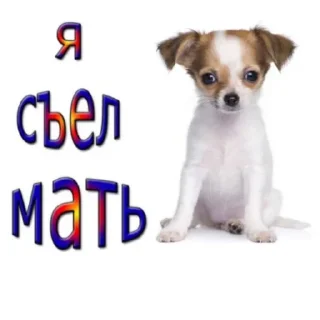 Sticker from Кладбище пезд