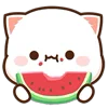 🍉 emoji @bydni_zhopaski Telegram sticker 8 of 30