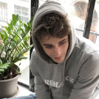 ⚜ emoji :: Maxence ||| @phoenixxfamily Telegram sticker 8 of 100