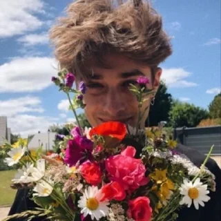 ⚜ emoji :: Maxence ||| @phoenixxfamily Telegram sticker 23 of 100