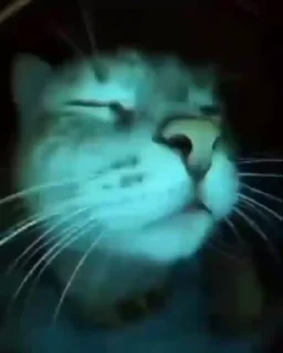 Sticker from Striker pack