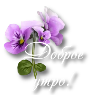 💜 emoji Утро @storis_and_stickers Telegram sticker 17 of 120
