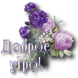 👍 emoji Утро @storis_and_stickers Telegram sticker 7 of 120