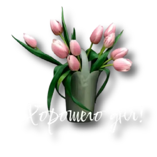 Sticker from Утро @storis_and_stickers