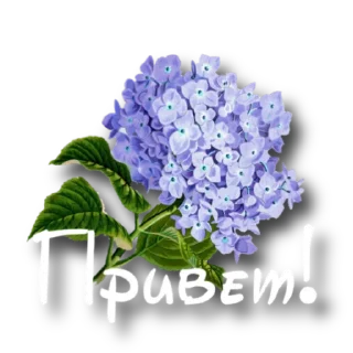 ❤️ emoji Утро @storis_and_stickers Telegram sticker 24 of 120