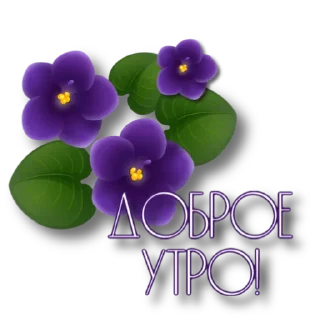 💜 emoji Утро @storis_and_stickers Telegram sticker 6 of 120