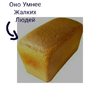 🍞 emoji достойные мемы от шлёпки Telegram sticker 3 of 16