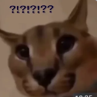 ⁉️ emoji достойные мемы от шлёпки Telegram sticker 8 of 16