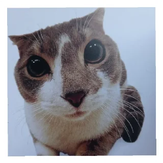 😰 emoji достойные мемы от шлёпки Telegram sticker 14 of 16