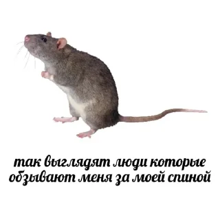 🫶 emoji Хехехех Telegram sticker 4 of 86
