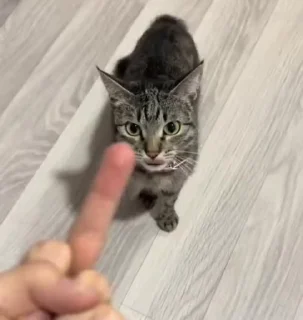 😡 emoji лукокор Telegram sticker 5 of 120