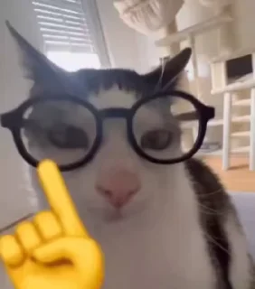 🤓 emoji лукокор Telegram sticker 9 of 120