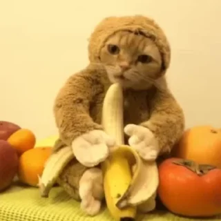 🍌 emoji лукокор Telegram sticker 12 of 120