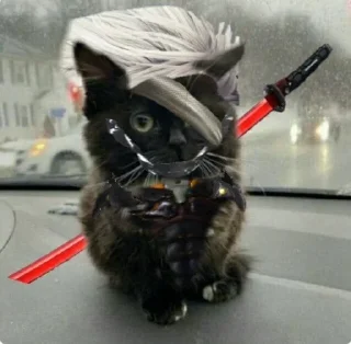 😺 emoji Больше стиков тут: @stikery4 Telegram sticker 11 of 91