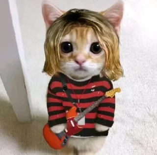 🐱 emoji Больше стиков тут: @stikery4 Telegram sticker 4 of 91
