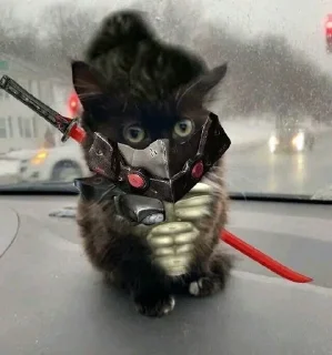 😺 emoji Больше стиков тут: @stikery4 Telegram sticker 12 of 91