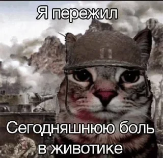 Sticker from котытытытыт