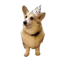 🎊 emoji best pack ever Telegram sticker 21 of 70