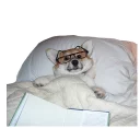 🤓 emoji best pack ever Telegram sticker 24 of 70