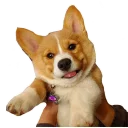 😛 emoji best pack ever Telegram sticker 11 of 70
