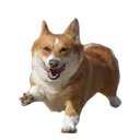 🏃‍♂️ emoji best pack ever Telegram sticker 2 of 70