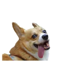 😛 emoji best pack ever Telegram sticker 12 of 70