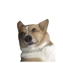 😍 emoji best pack ever Telegram sticker 19 of 70