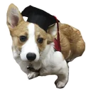 🤓 emoji best pack ever Telegram sticker 8 of 70