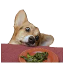 🥗 emoji best pack ever Telegram sticker 22 of 70