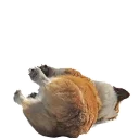 😴 emoji best pack ever Telegram sticker 1 of 70