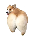 🍑 emoji best pack ever Telegram sticker 7 of 70