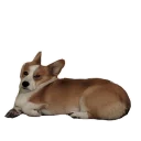 🍞 emoji best pack ever Telegram sticker 14 of 70